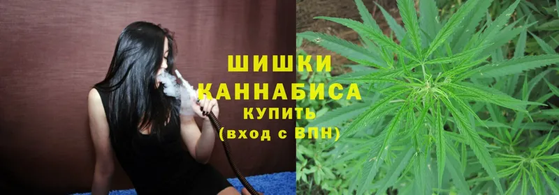 omg зеркало  Болотное  Каннабис White Widow 